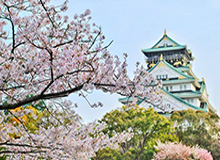 开云体育app下载-6名U23球员首发 国足小负非洲劲旅喀麦隆队